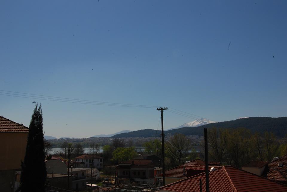 Nikos Apartments Ioannina Exterior foto